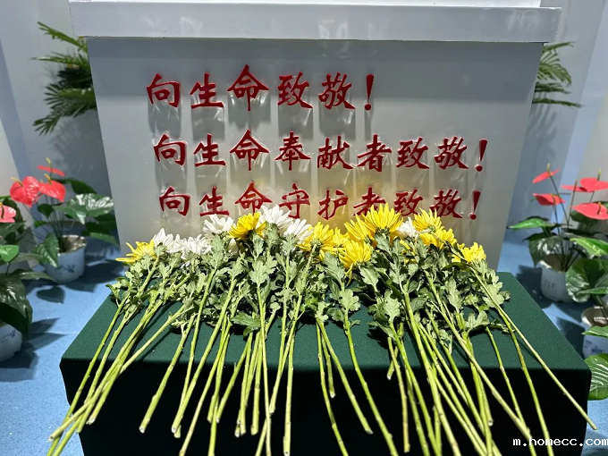 图片 14.png 图片 14.png